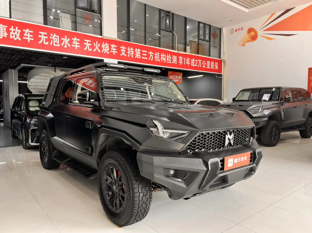 Mengshi Warrior 917  из Китая