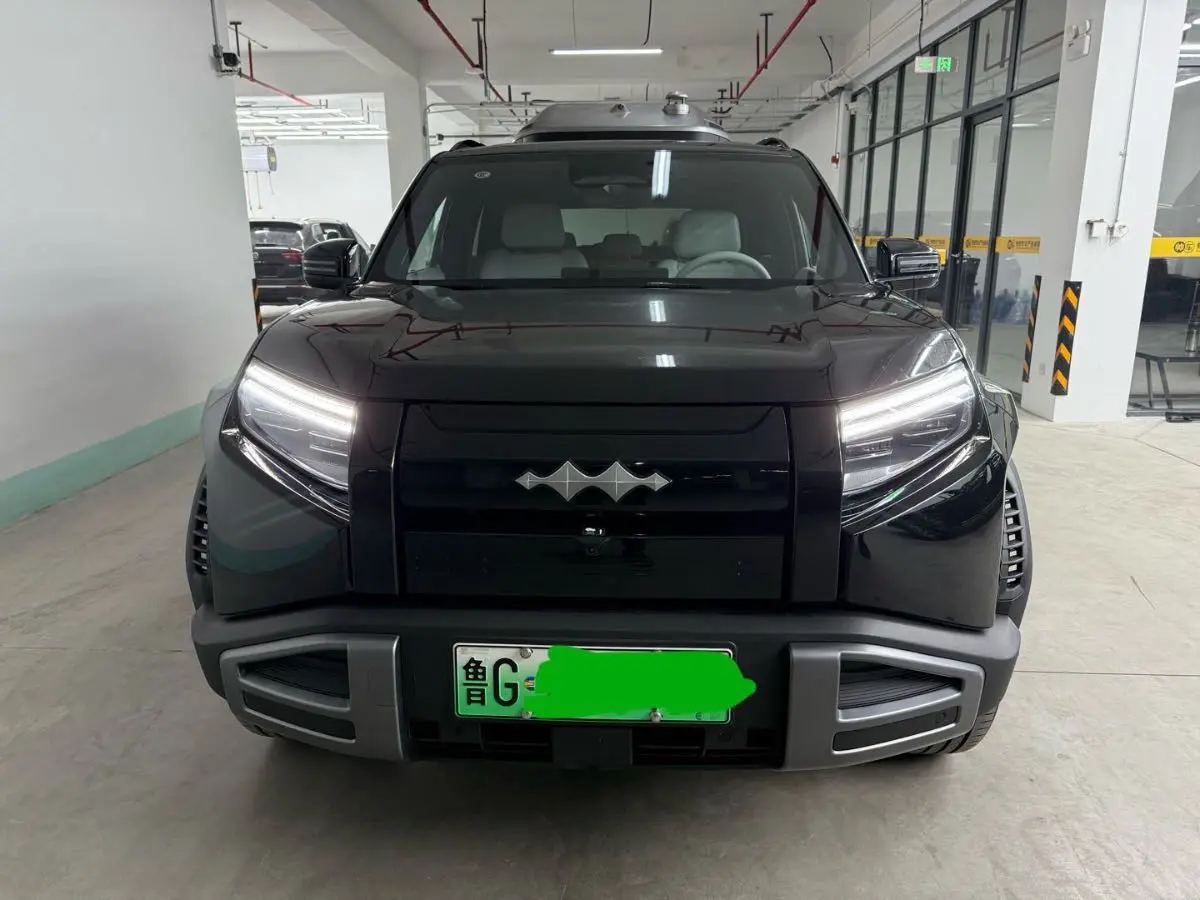 BYD Leopard Titanium 3  из Китая