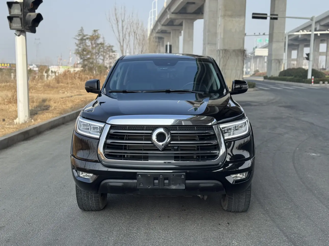 Great Wall Gun  из Китая