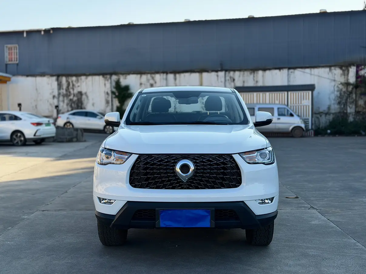 Great Wall Gun  из Китая