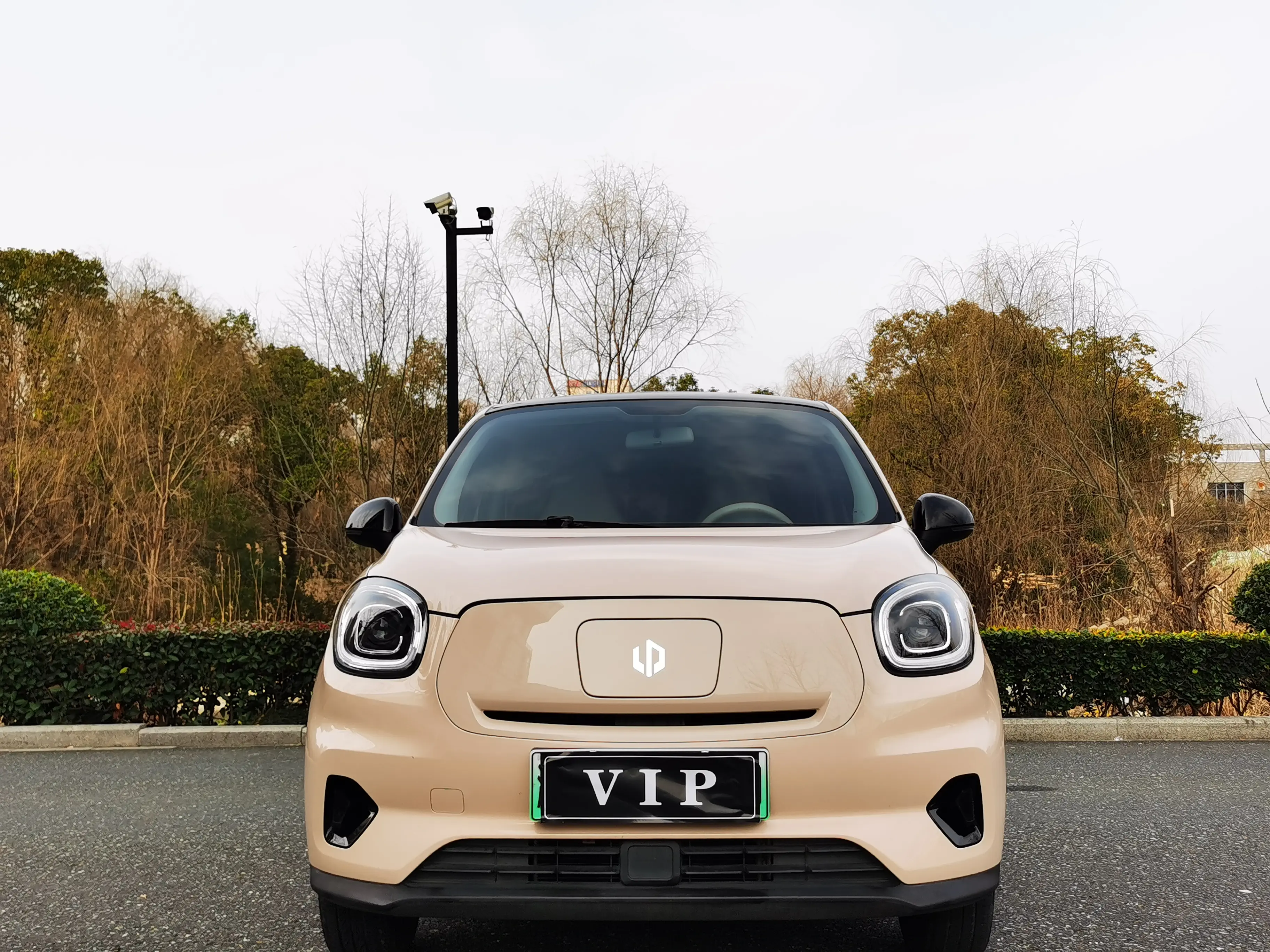 Leapmotor Zero running T03  из Китая