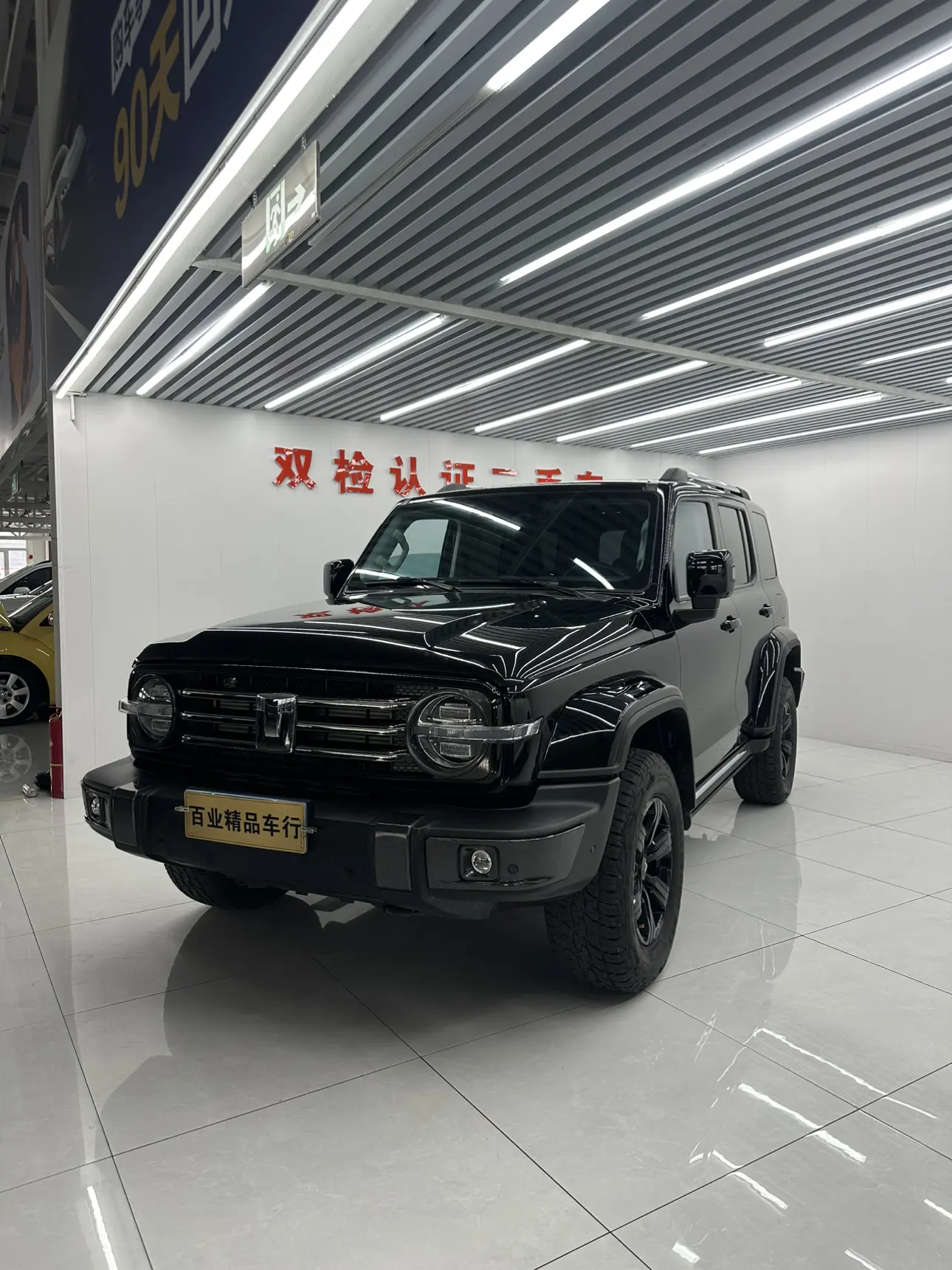 Tank 300  из Китая