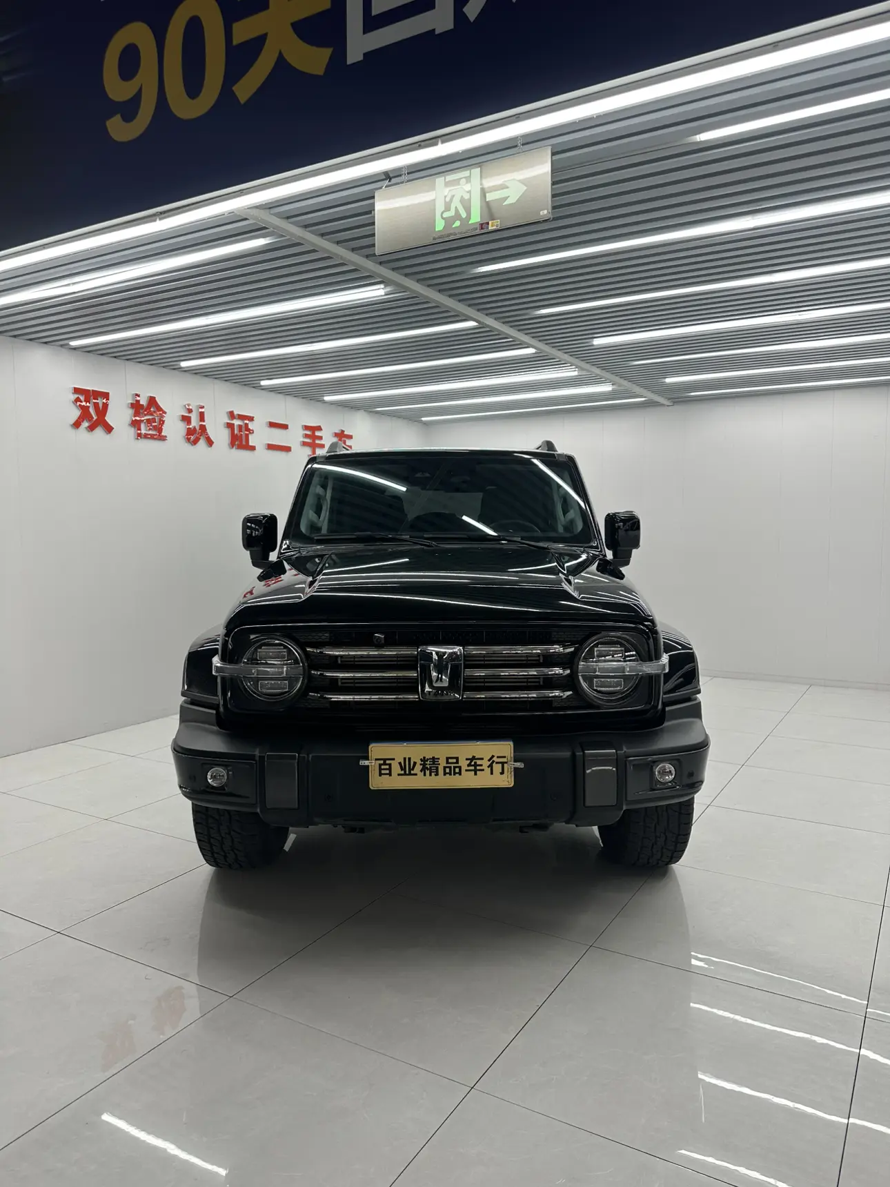 Tank 300  из Китая