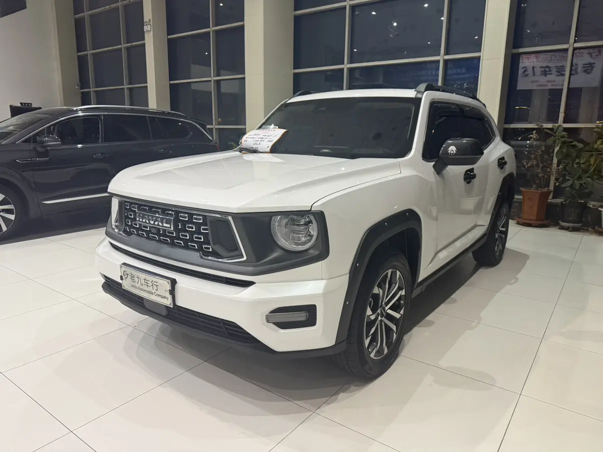 Haval Big Dog PLUS  из Китая