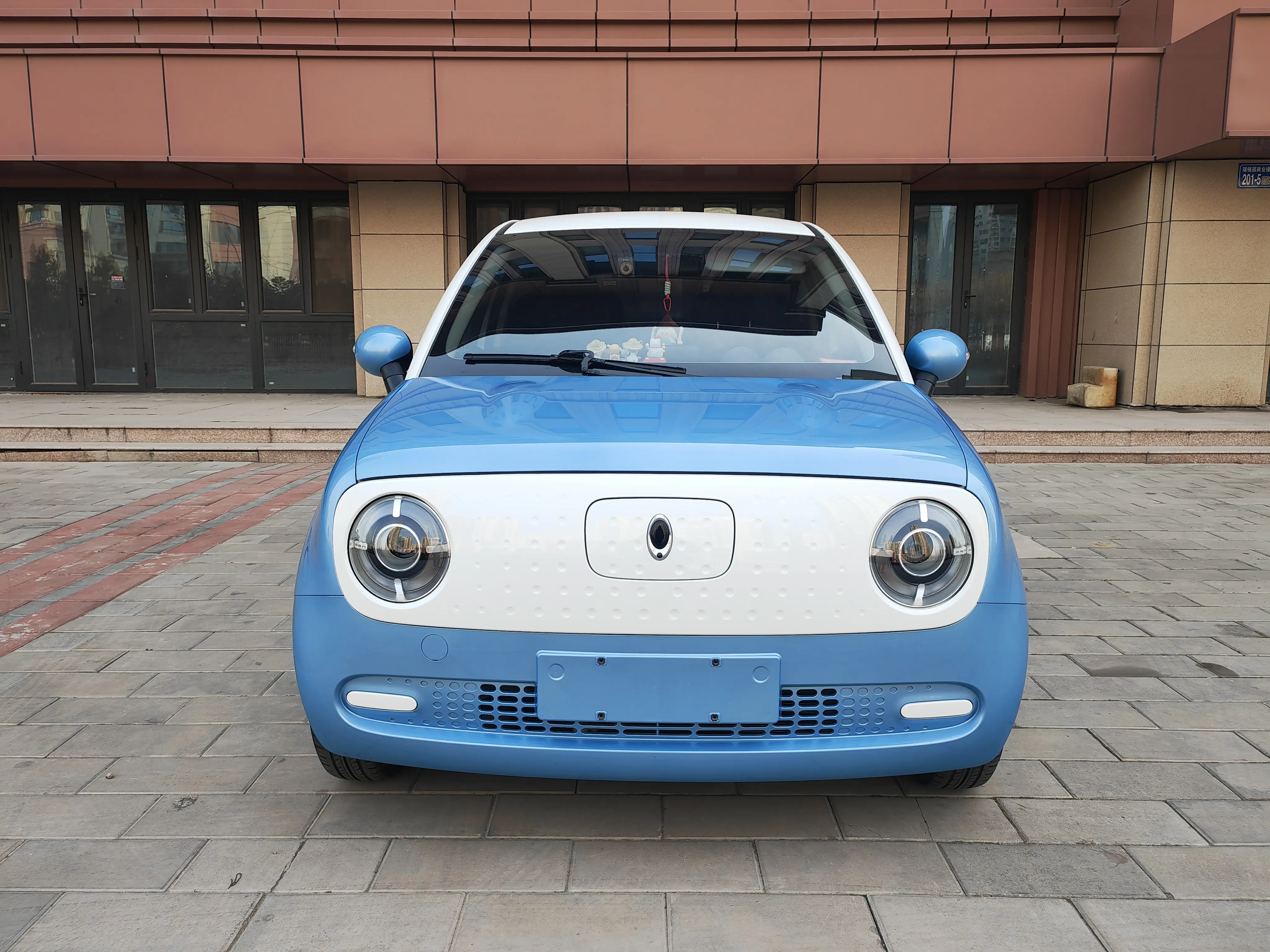 ORA Euler black cat  из Китая