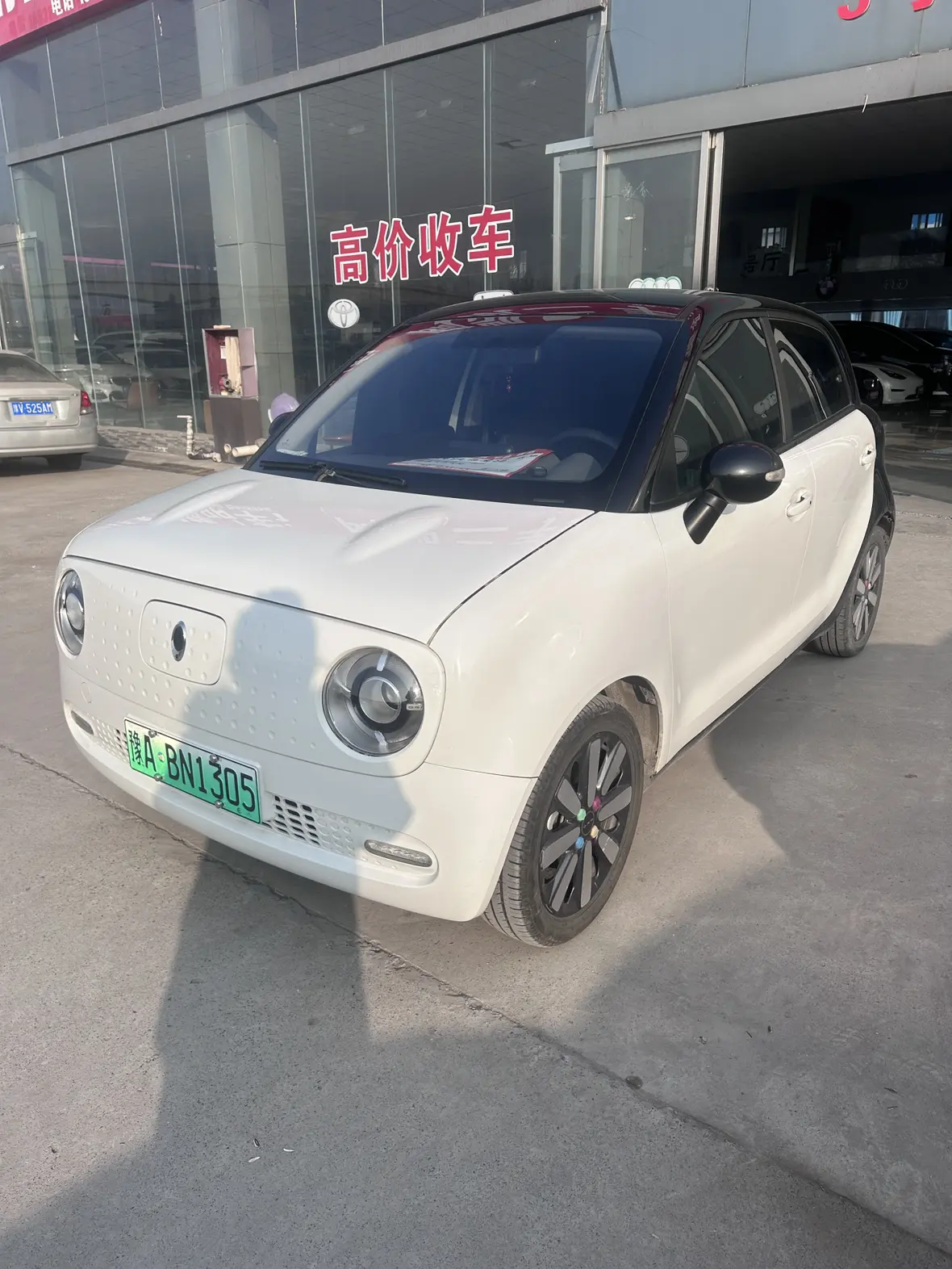 ORA Euler black cat  из Китая