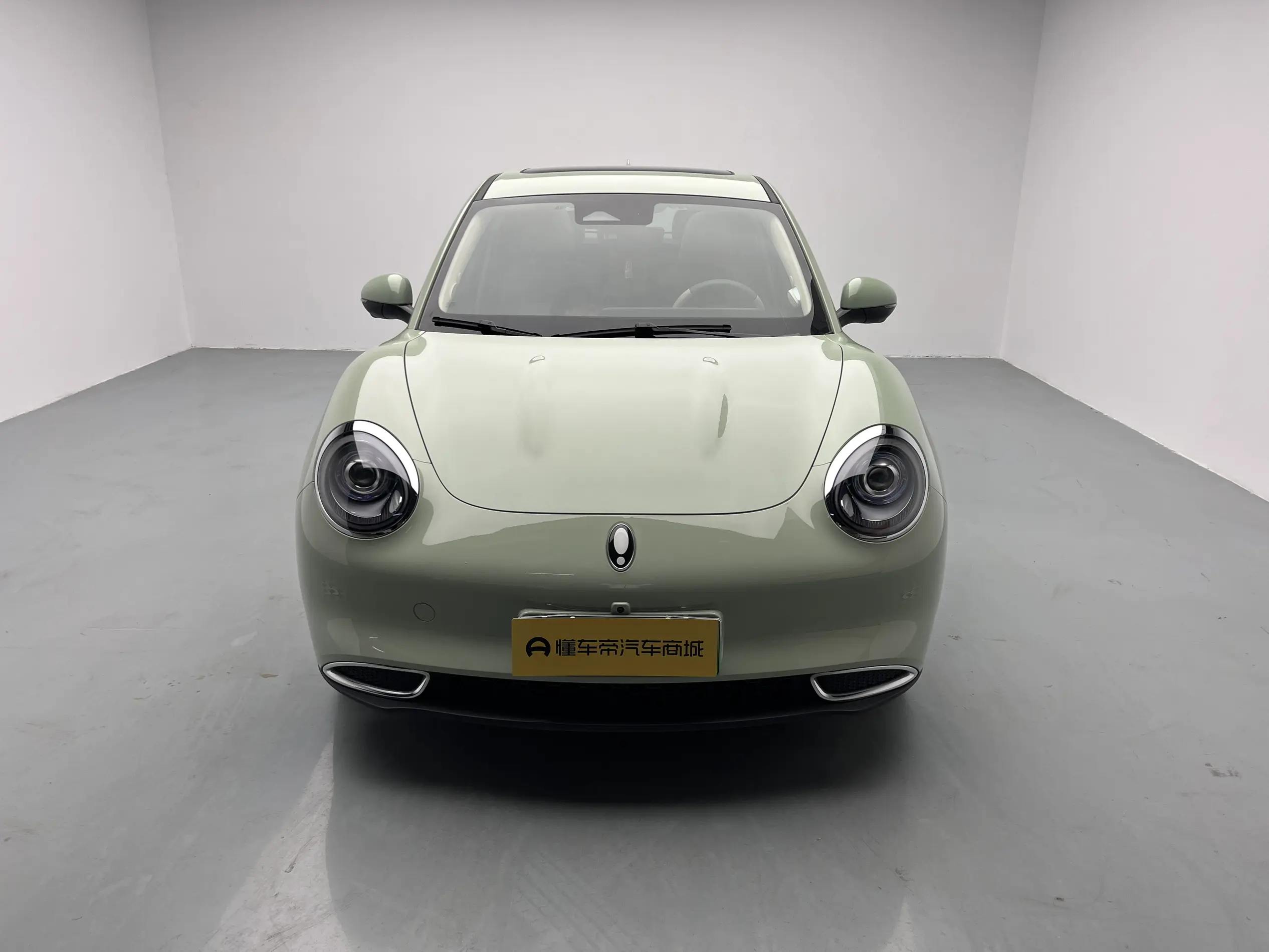 ORA Euler good cat  из Китая