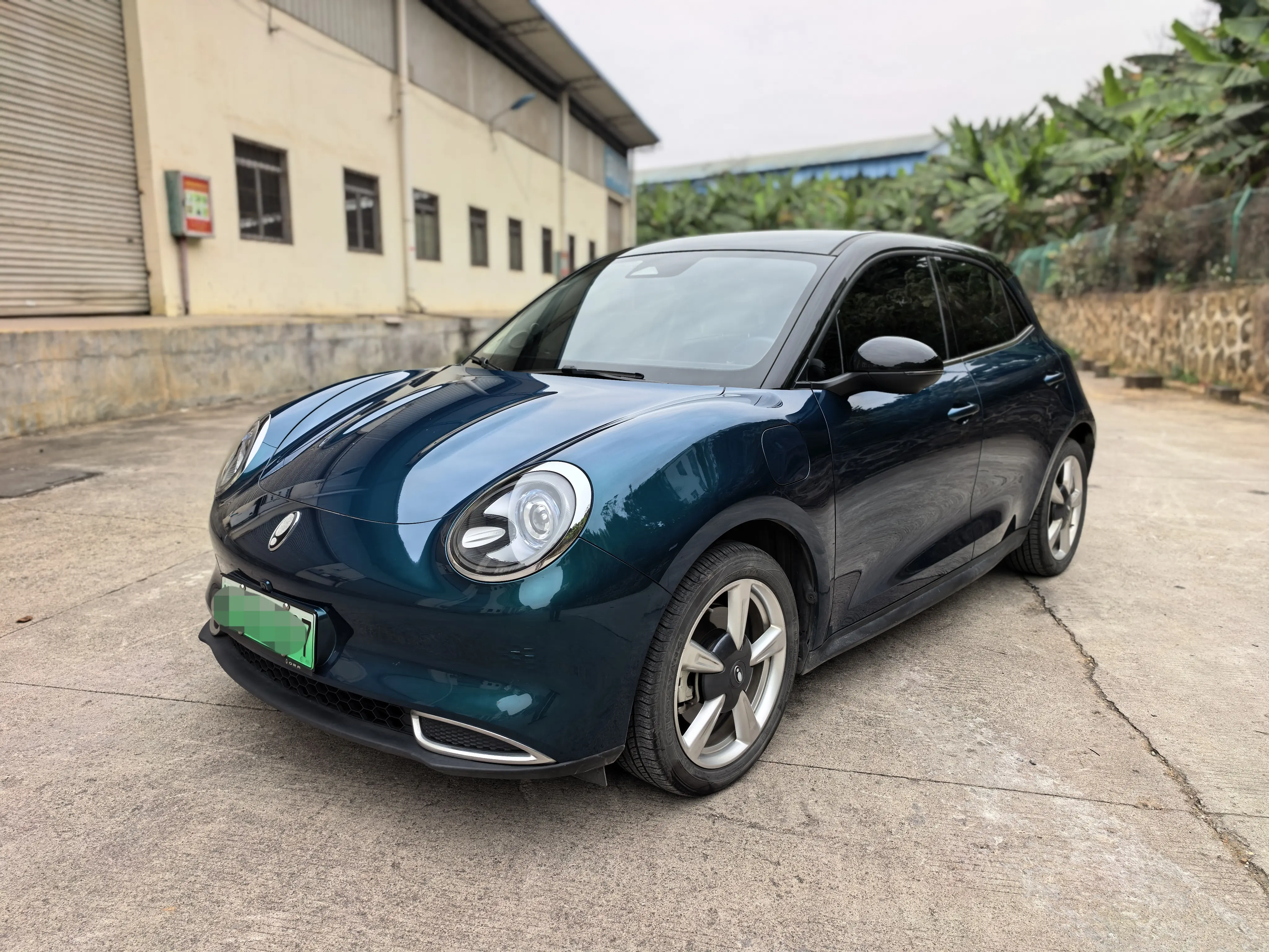 ORA Euler good cat  из Китая