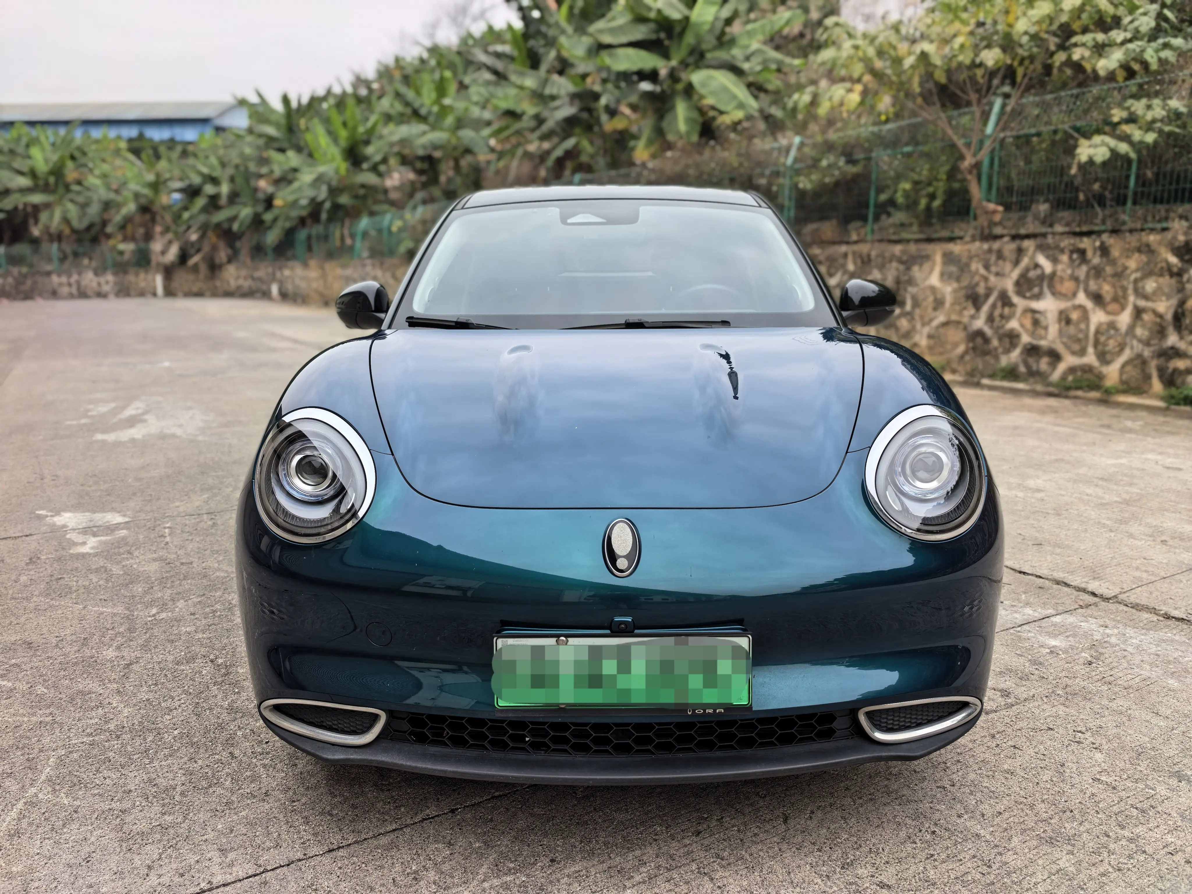 ORA Euler good cat  из Китая