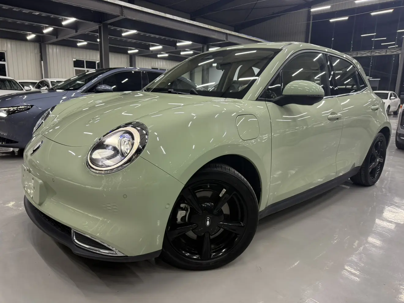 ORA Euler good cat  из Китая