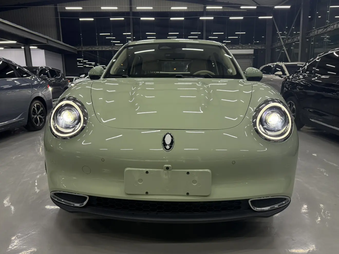 ORA Euler good cat  из Китая