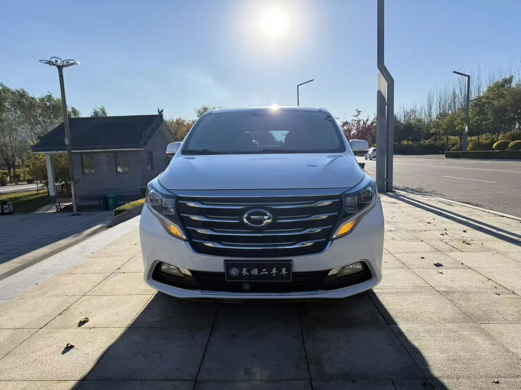 GAC Trumpchi M8  из Китая