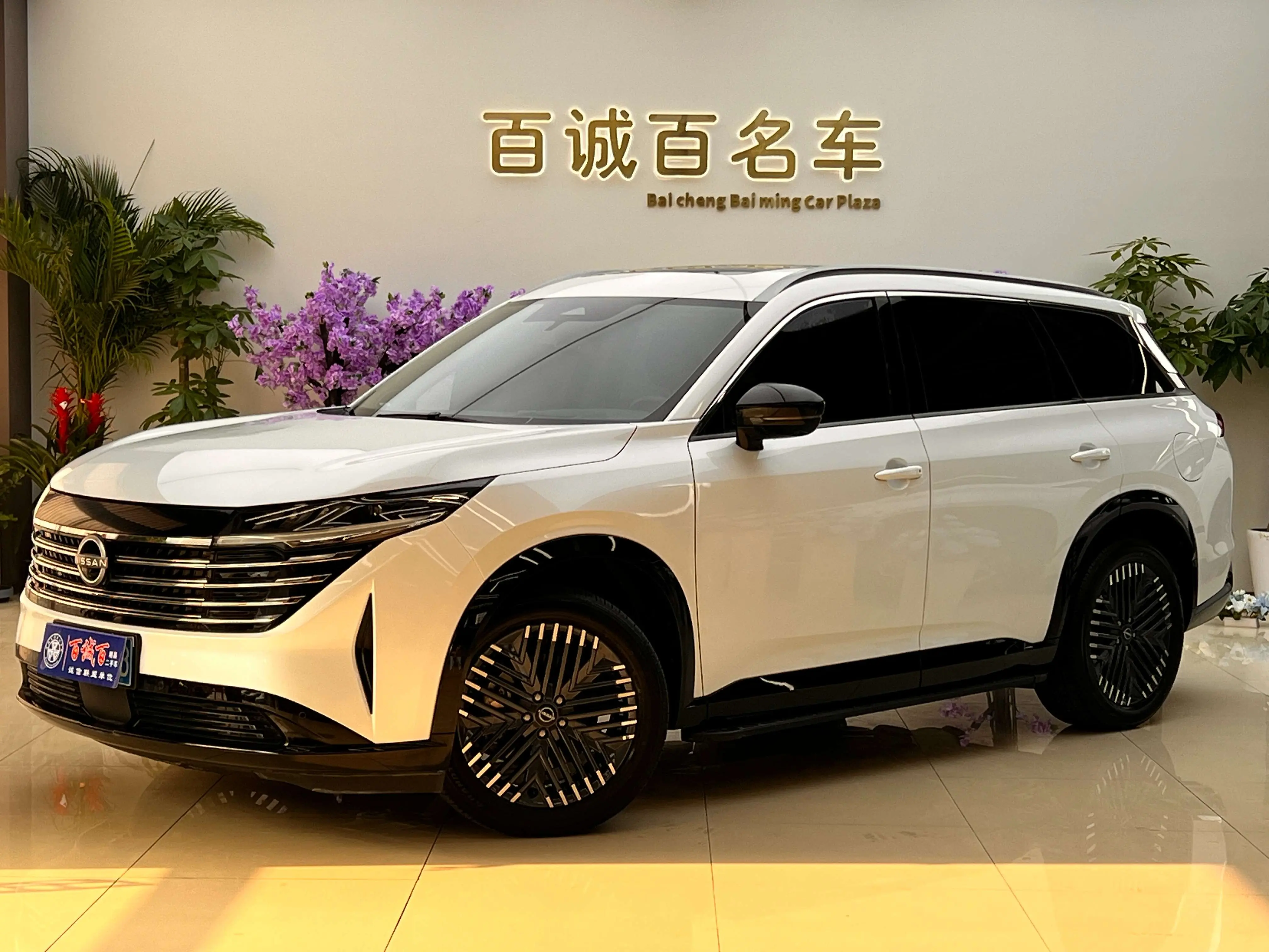 Nissan Explore the land  из Китая