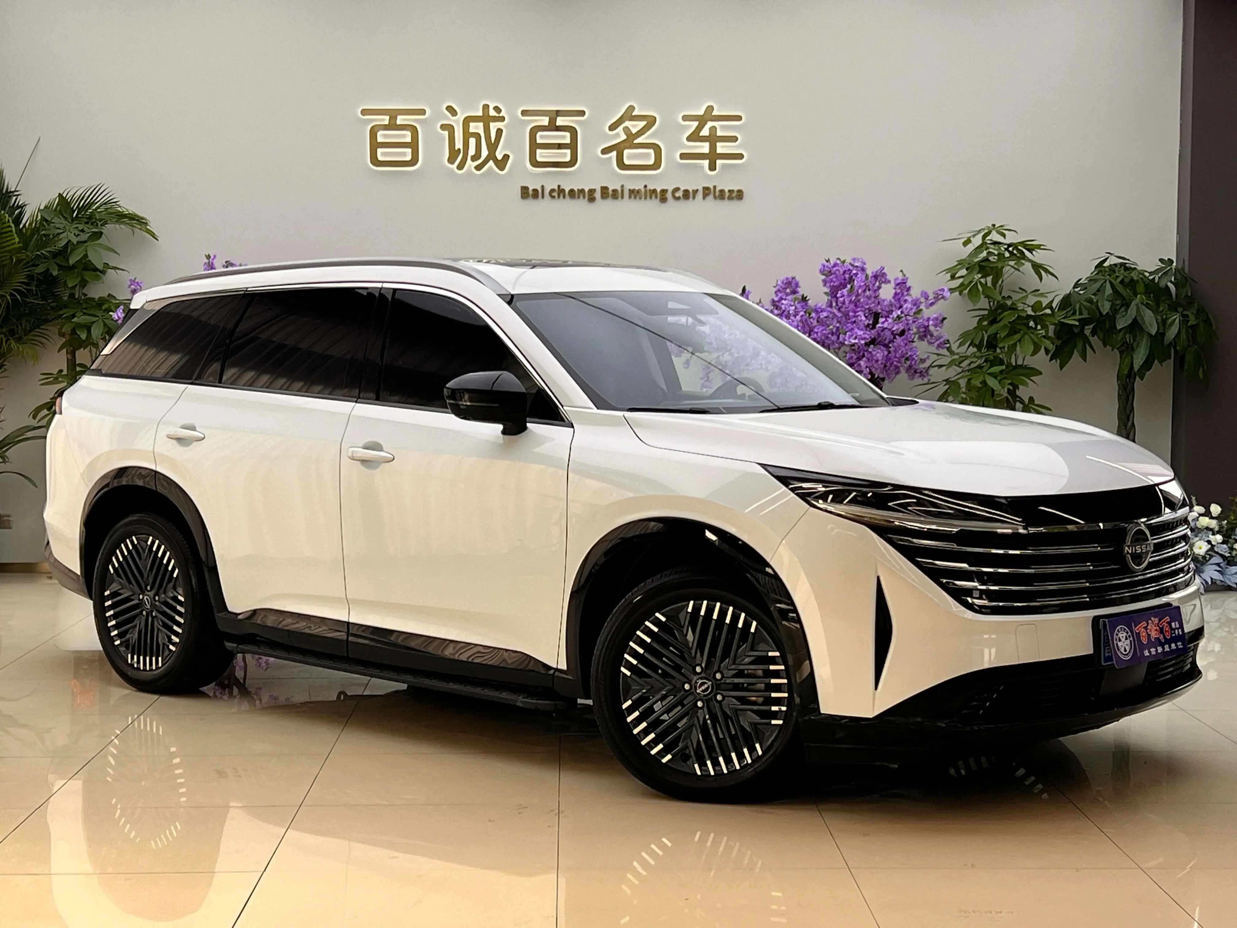 Nissan Explore the land  из Китая