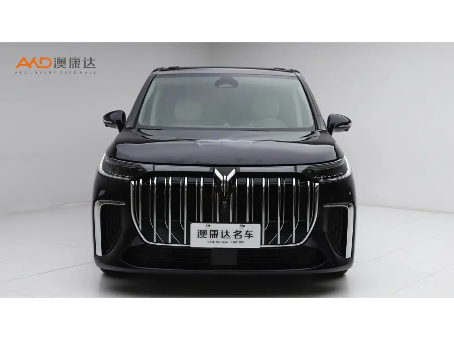 Voyah Lantu Dreamer PHEV  из Китая