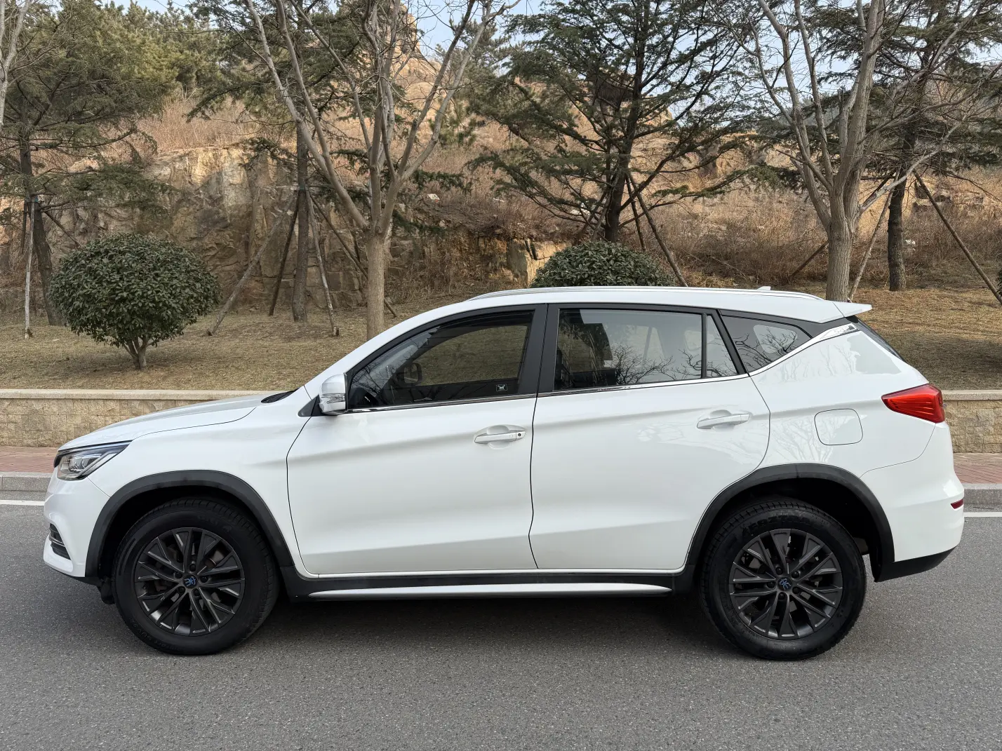 BYD Song DM  из Китая