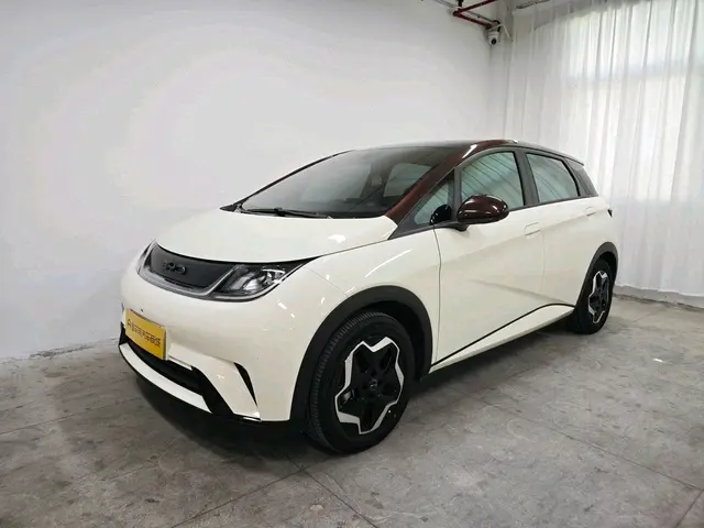 BYD Dolphin  из Китая