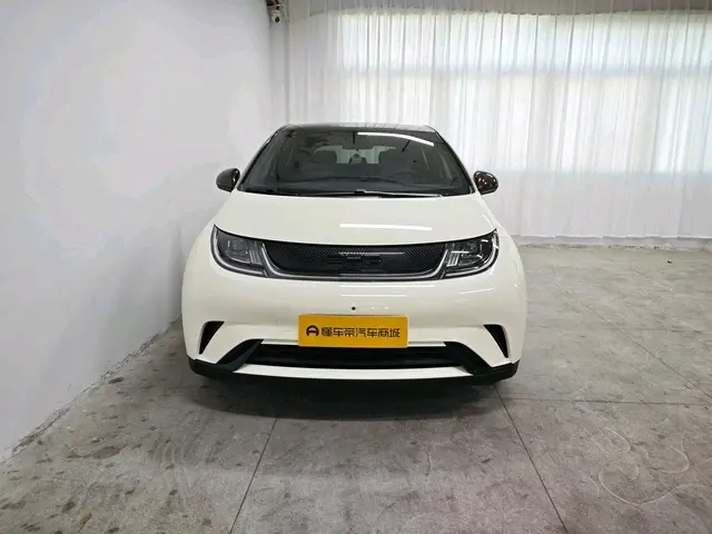 BYD Dolphin  из Китая