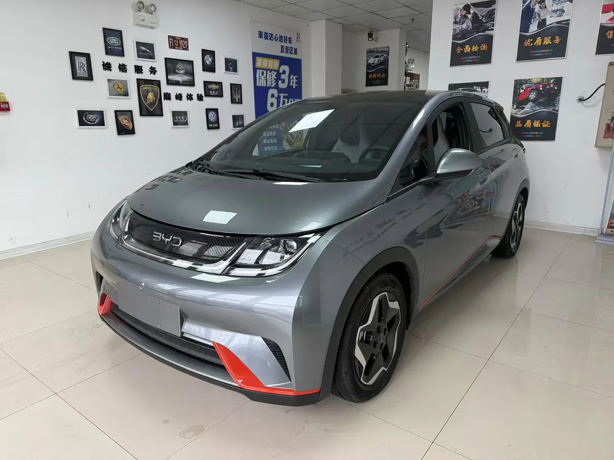 BYD Dolphin  из Китая