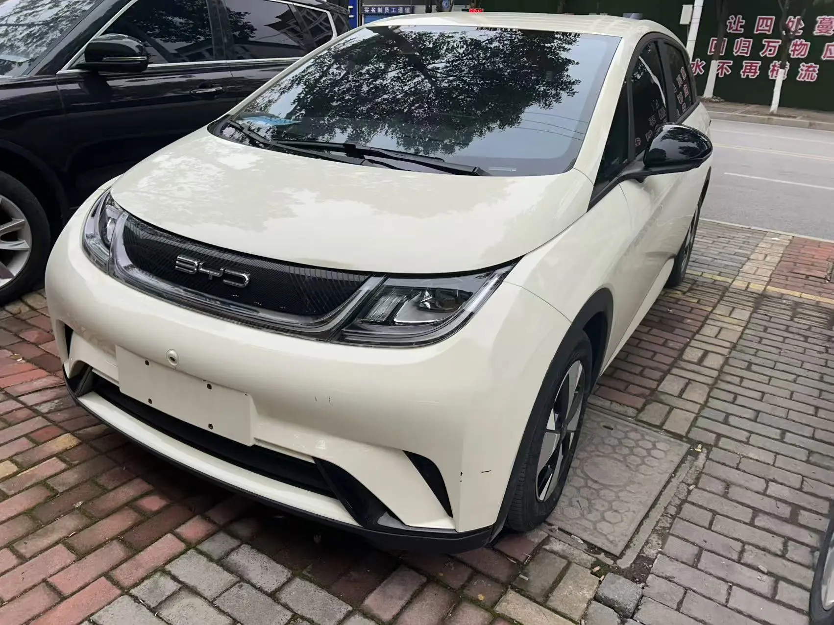 BYD Dolphin  из Китая