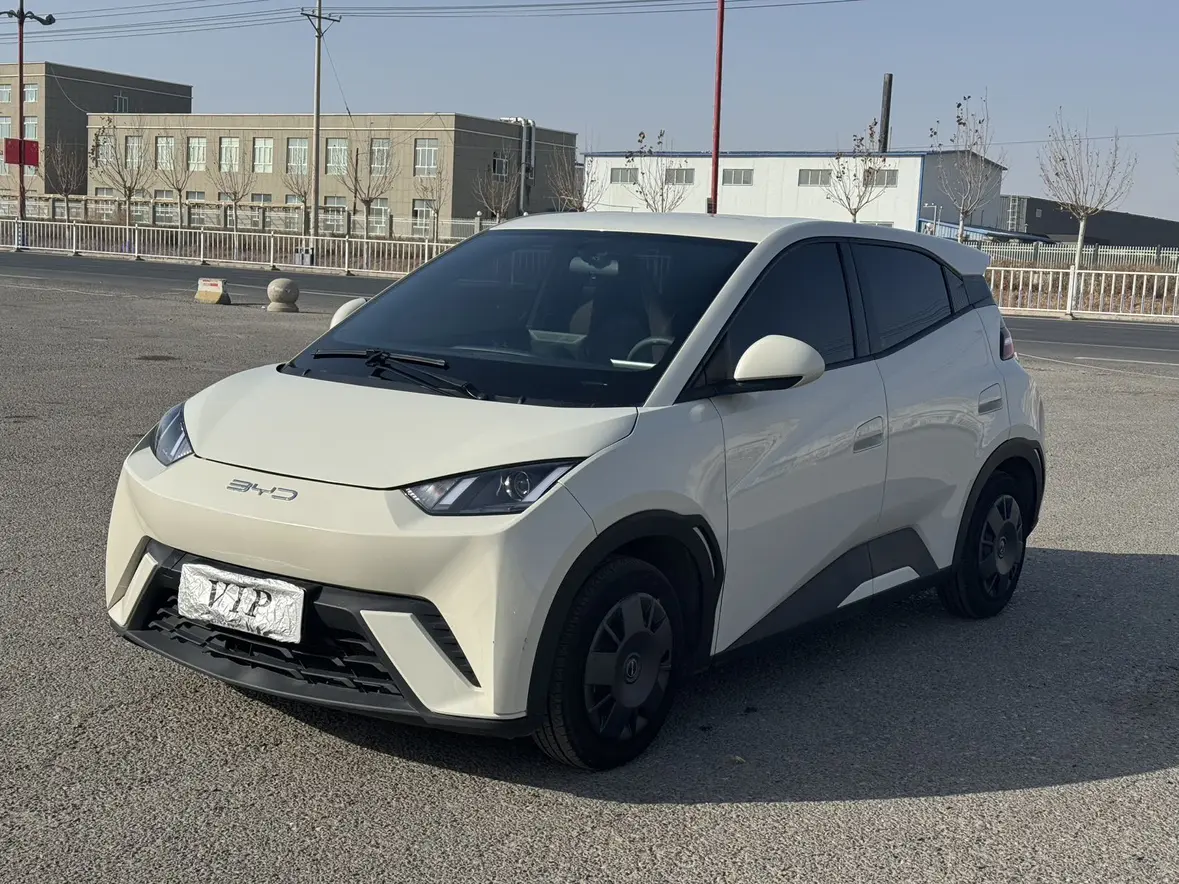 BYD Seagull  из Китая