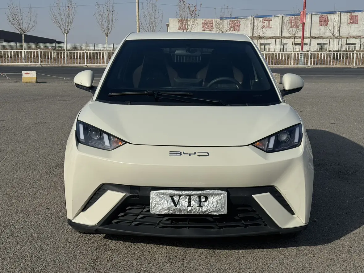 BYD Seagull  из Китая