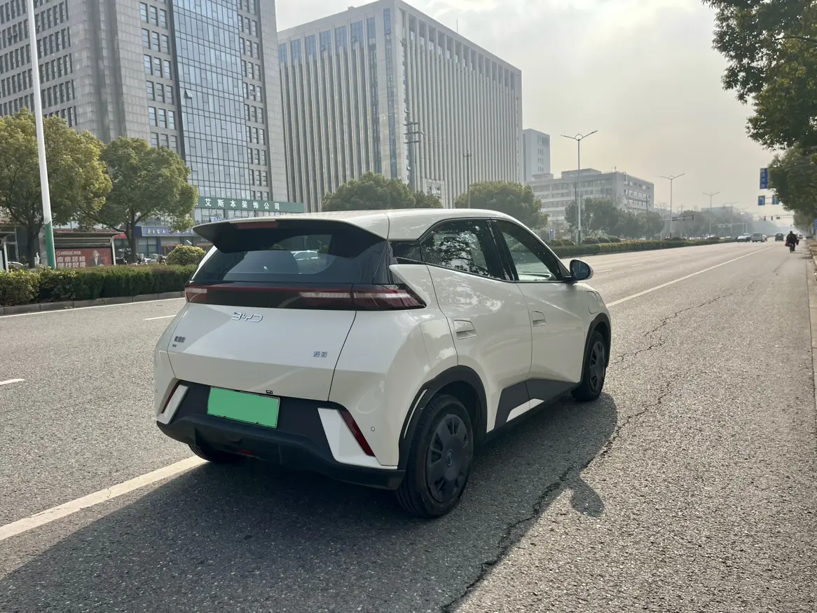 BYD Seagull  из Китая