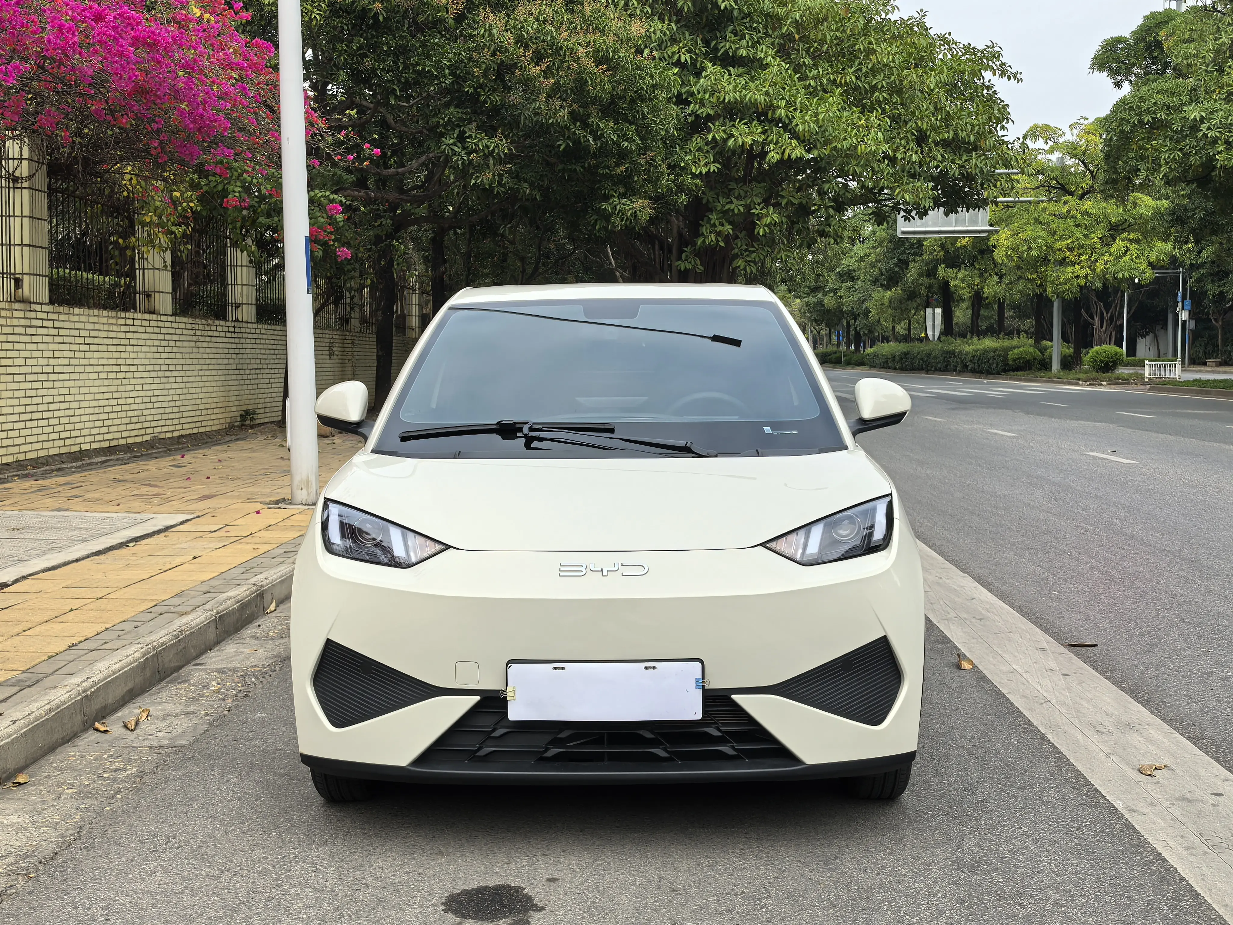 BYD Seagull  из Китая