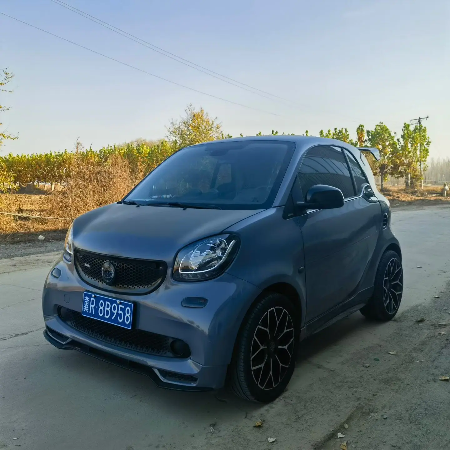 Smart fortwo  из Китая