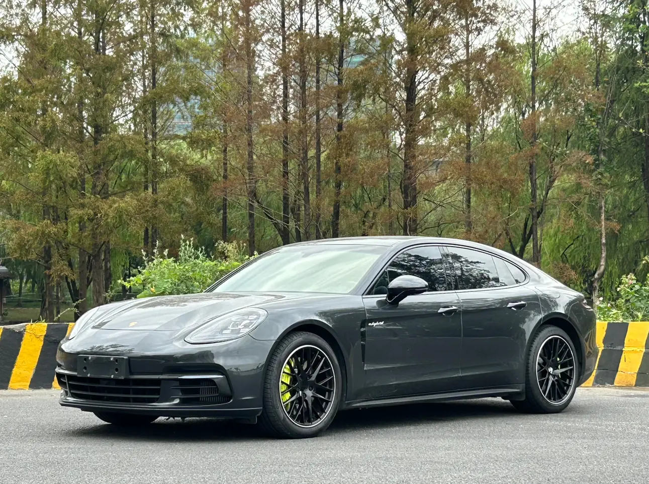 Porsche Panamera E-Hybrid  из Китая