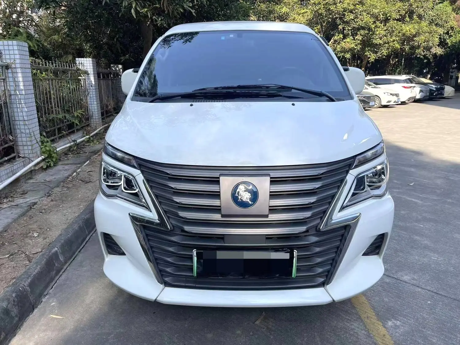 Forthing Lingzhi New Energy  из Китая