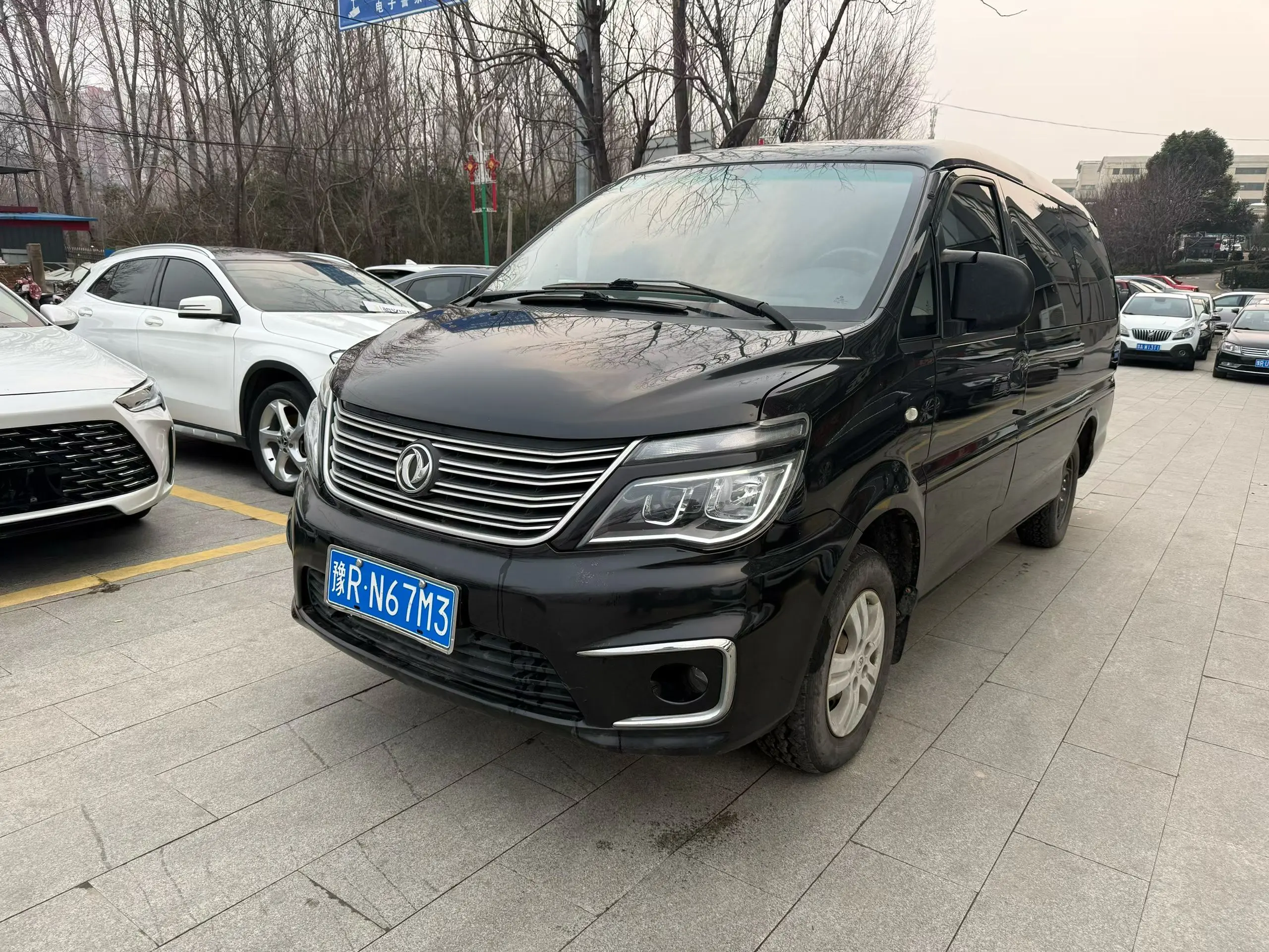 Forthing Lingzhi  из Китая