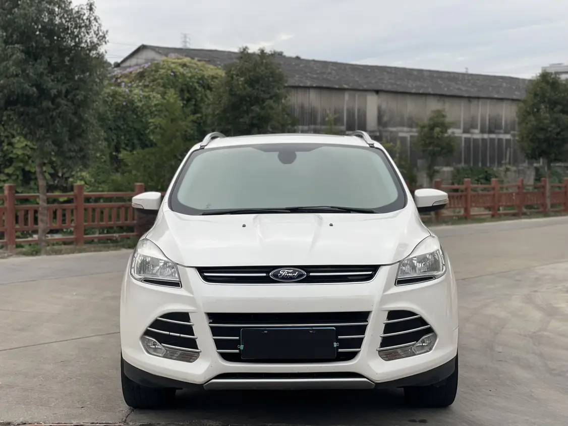 Ford Wing tiger  из Китая