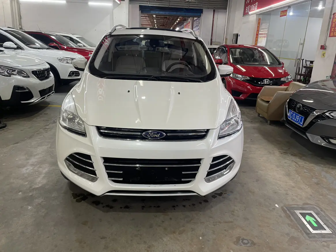 Ford Wing tiger  из Китая