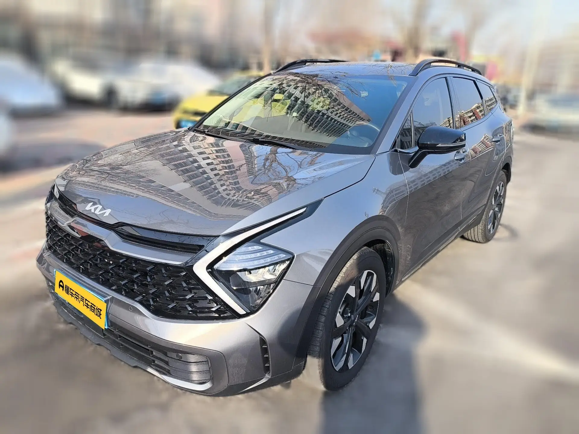 Kia Lion Platinum Expands the Boundary  из Китая