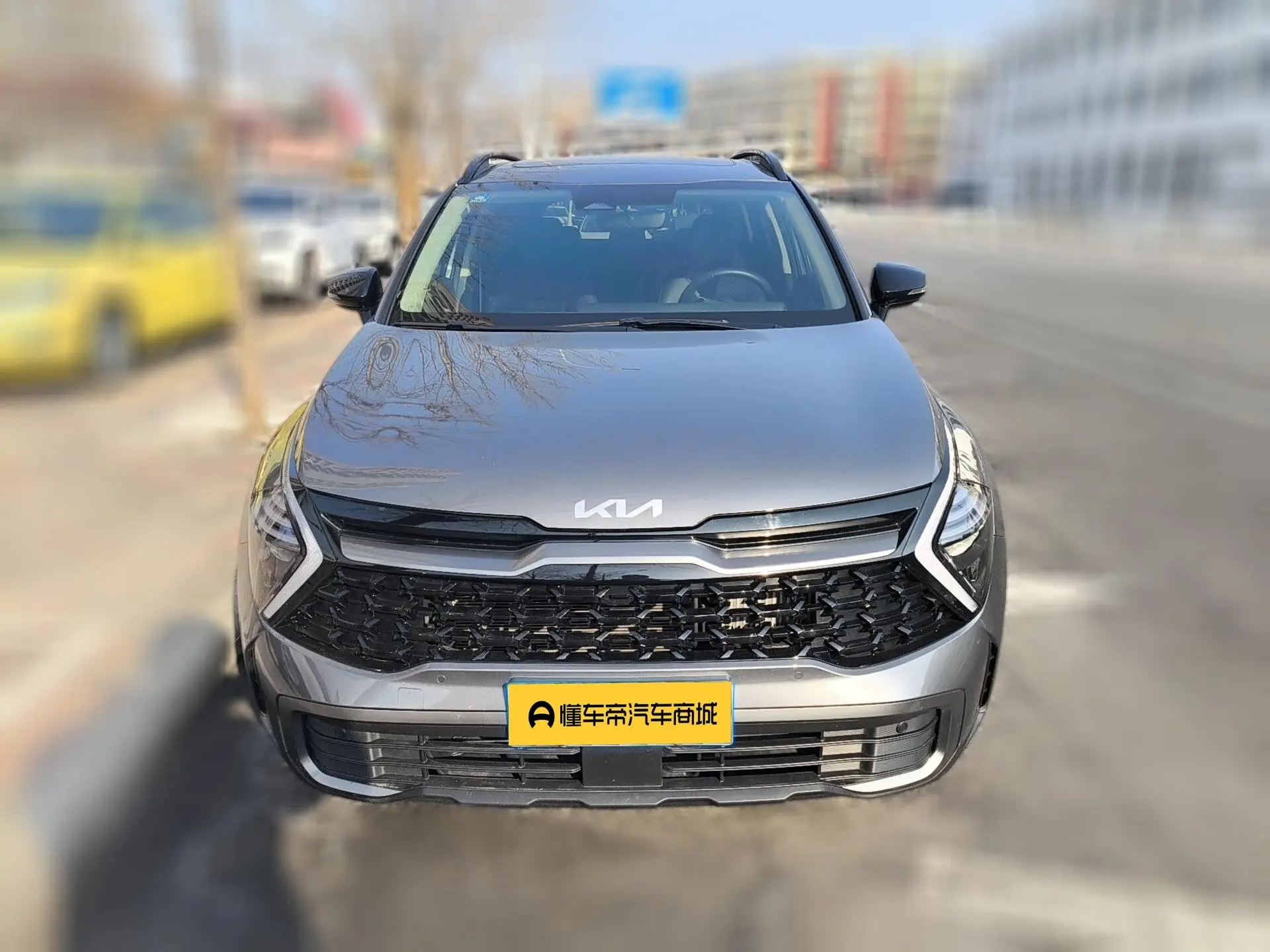 Kia Lion Platinum Expands the Boundary  из Китая