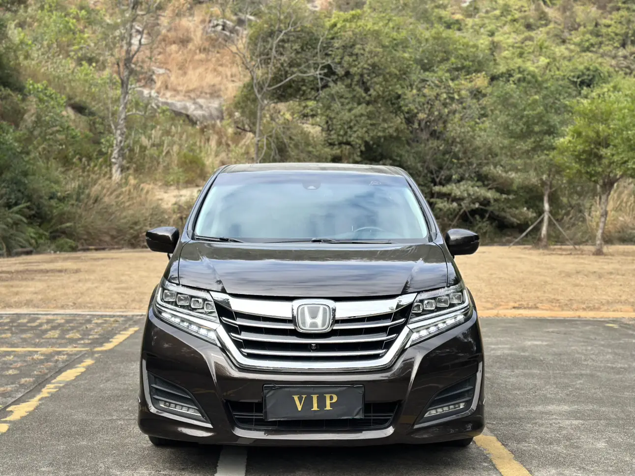 Honda Elysion (Alison)  из Китая