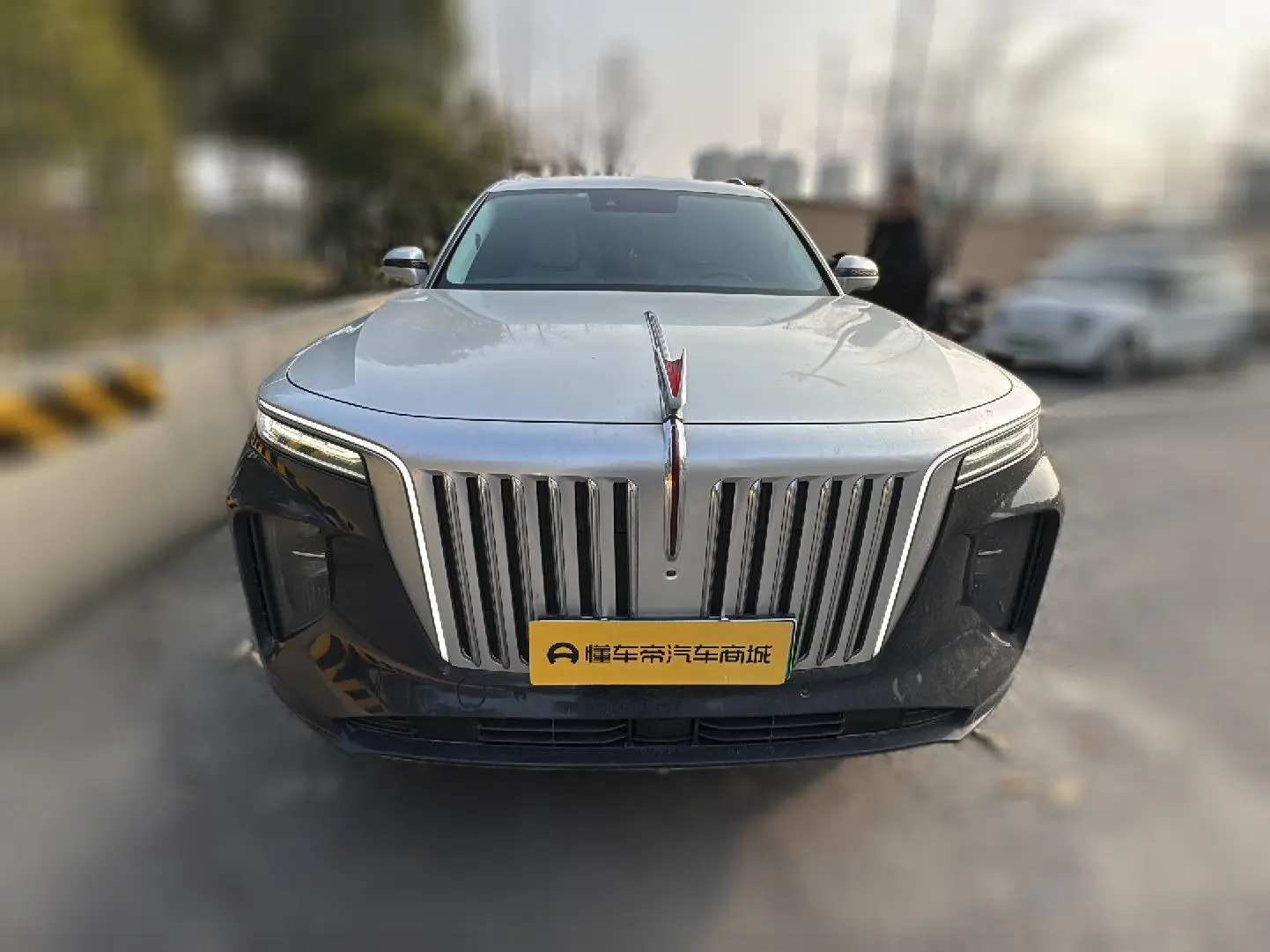 Hongqi E-HS9  из Китая
