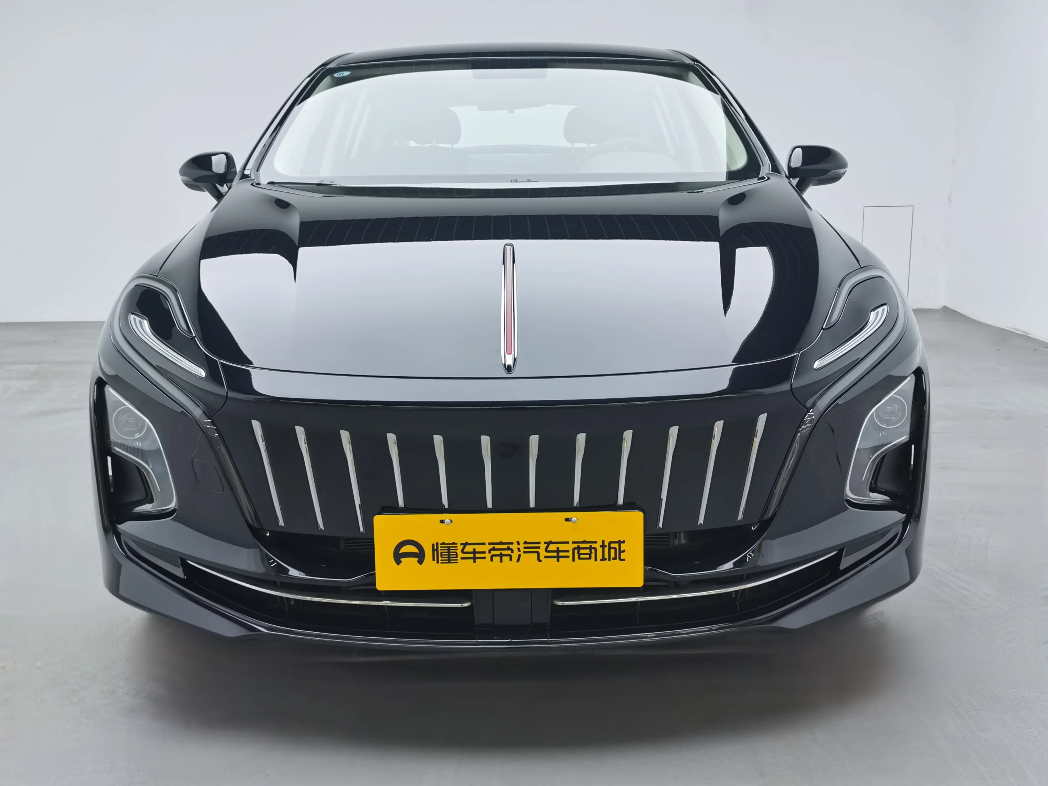 Hongqi E-QM5  из Китая