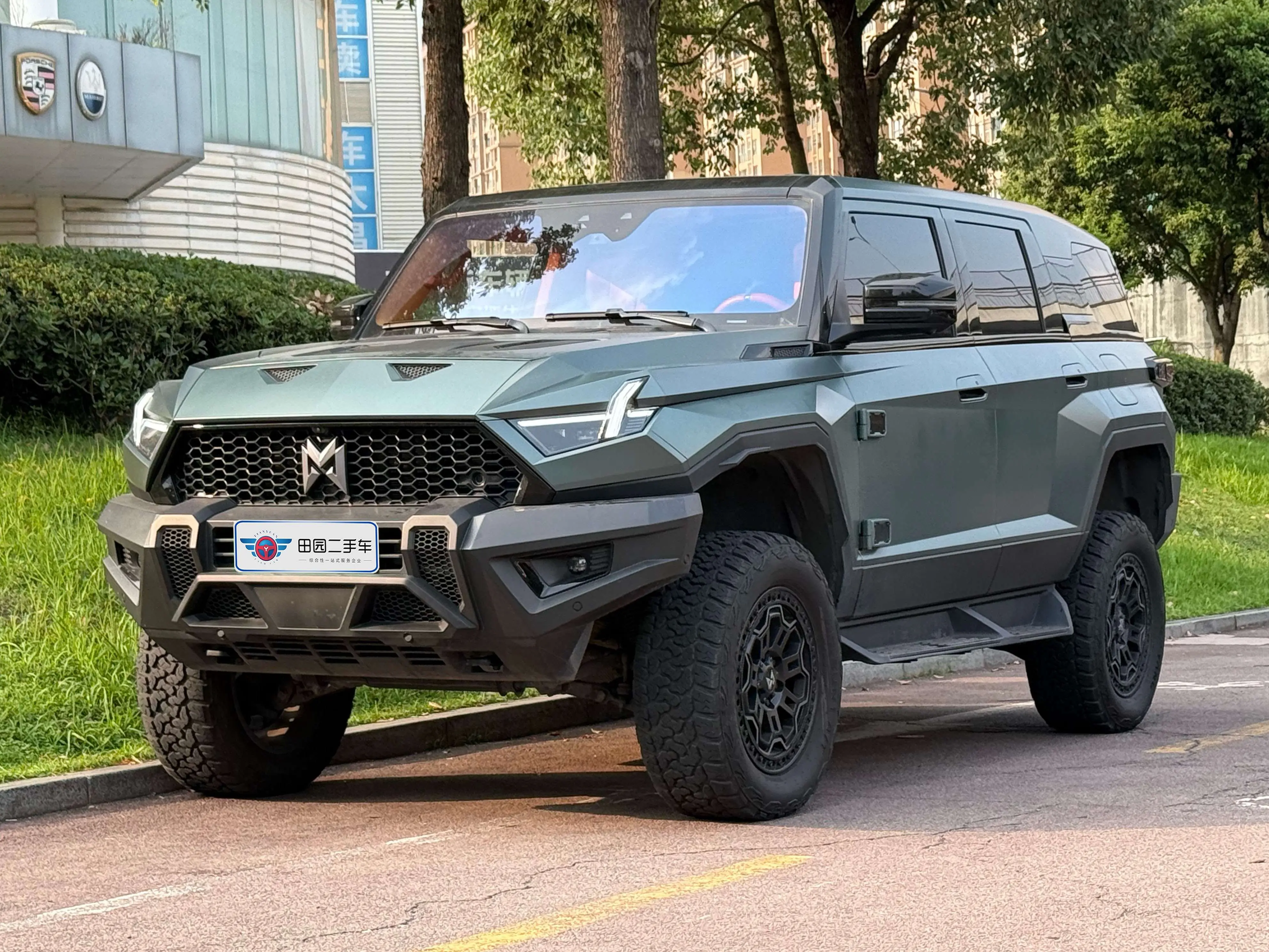 Mengshi Warrior 917  из Китая