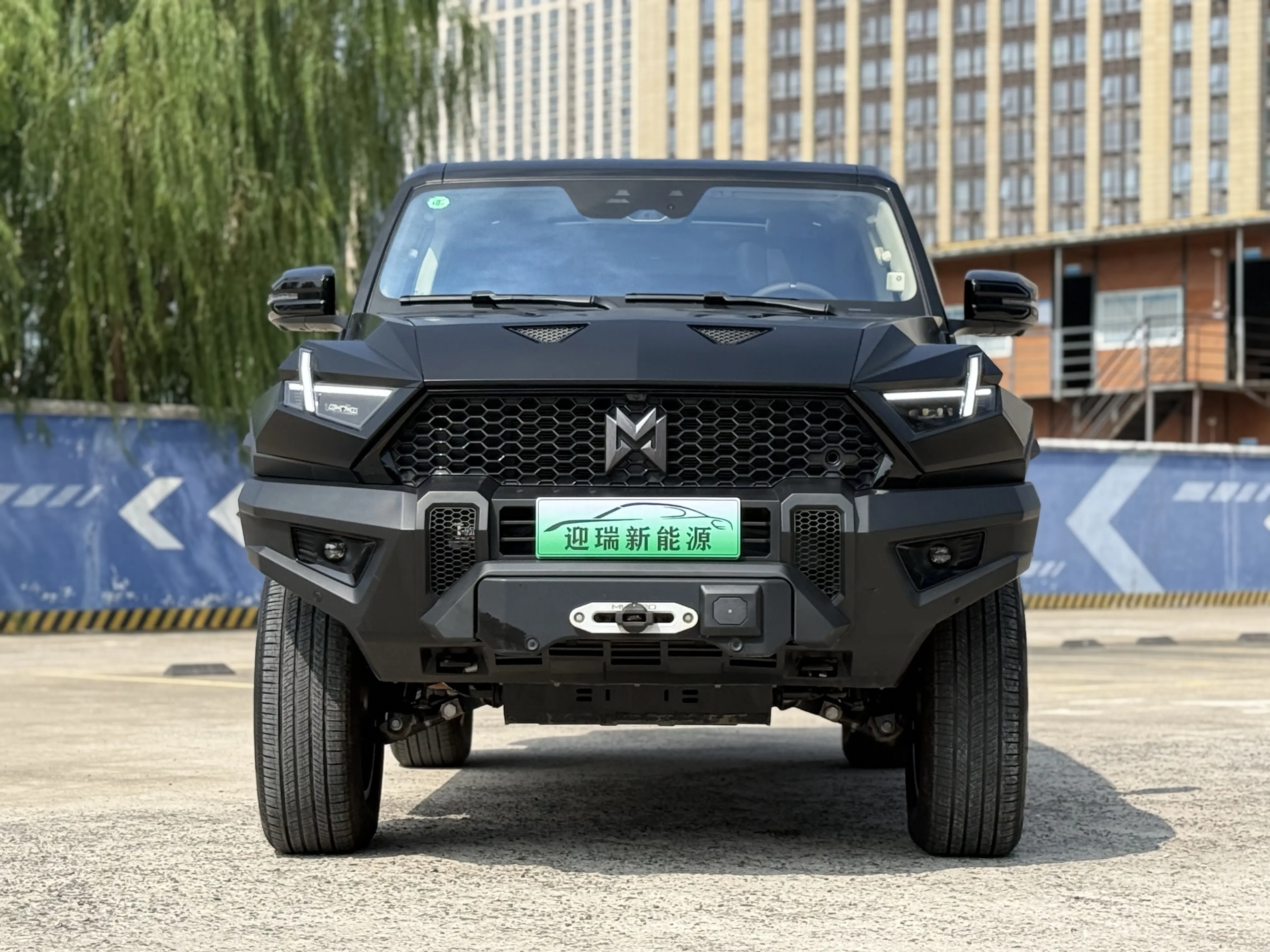 Mengshi Warrior 917  из Китая