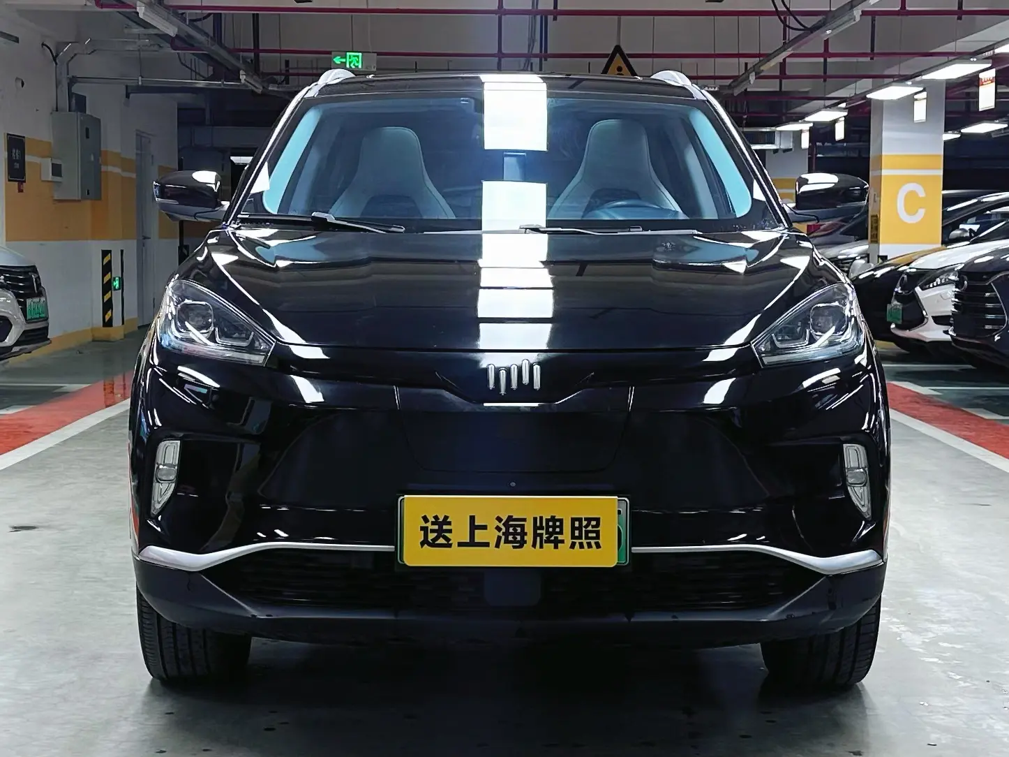 Weltmeister WM EX5  из Китая