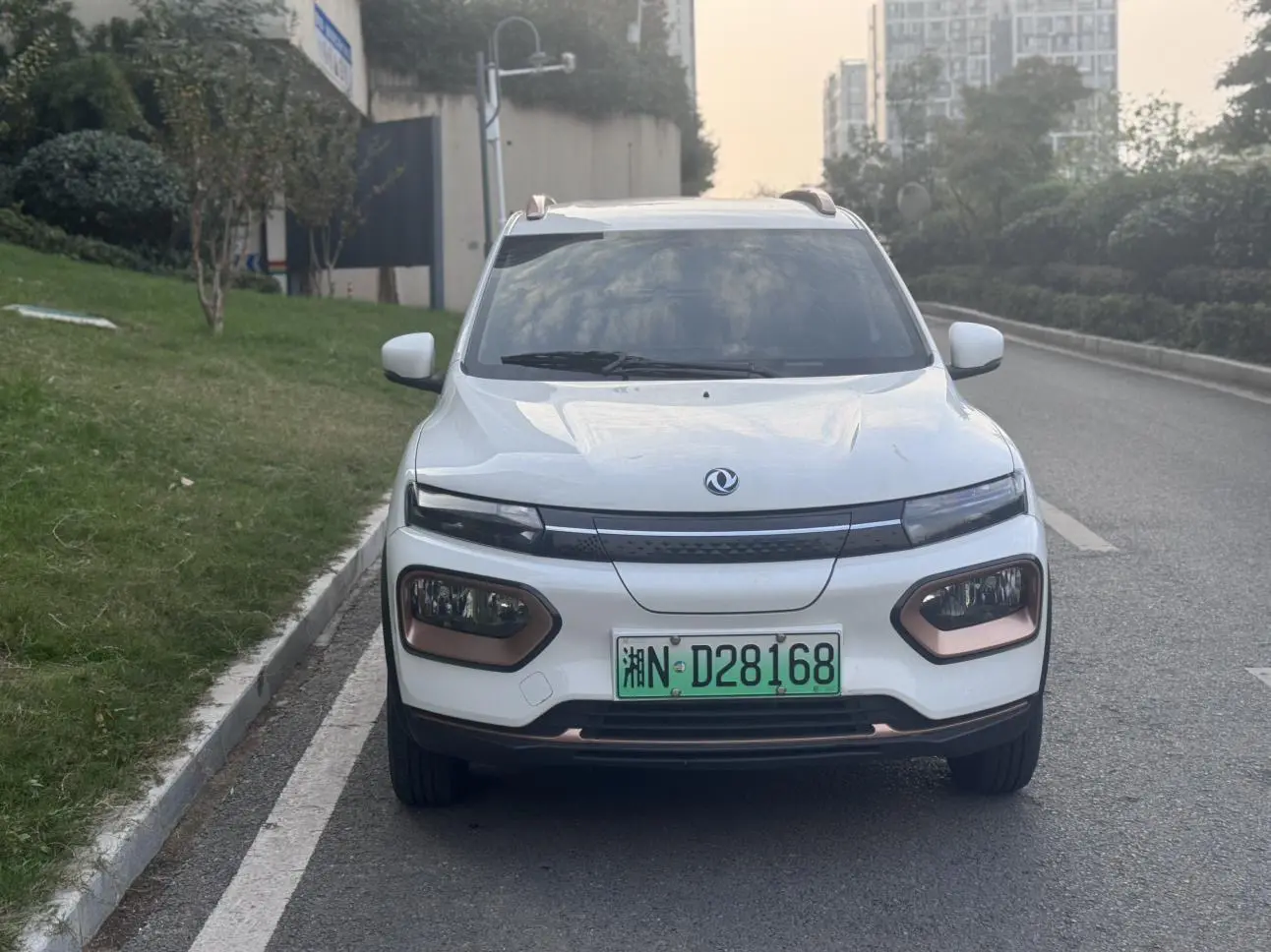 Dongfeng Nano EX1  из Китая