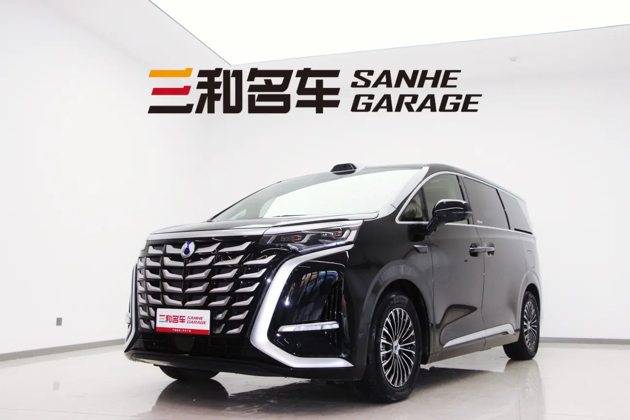 Denza D9 DM  из Китая