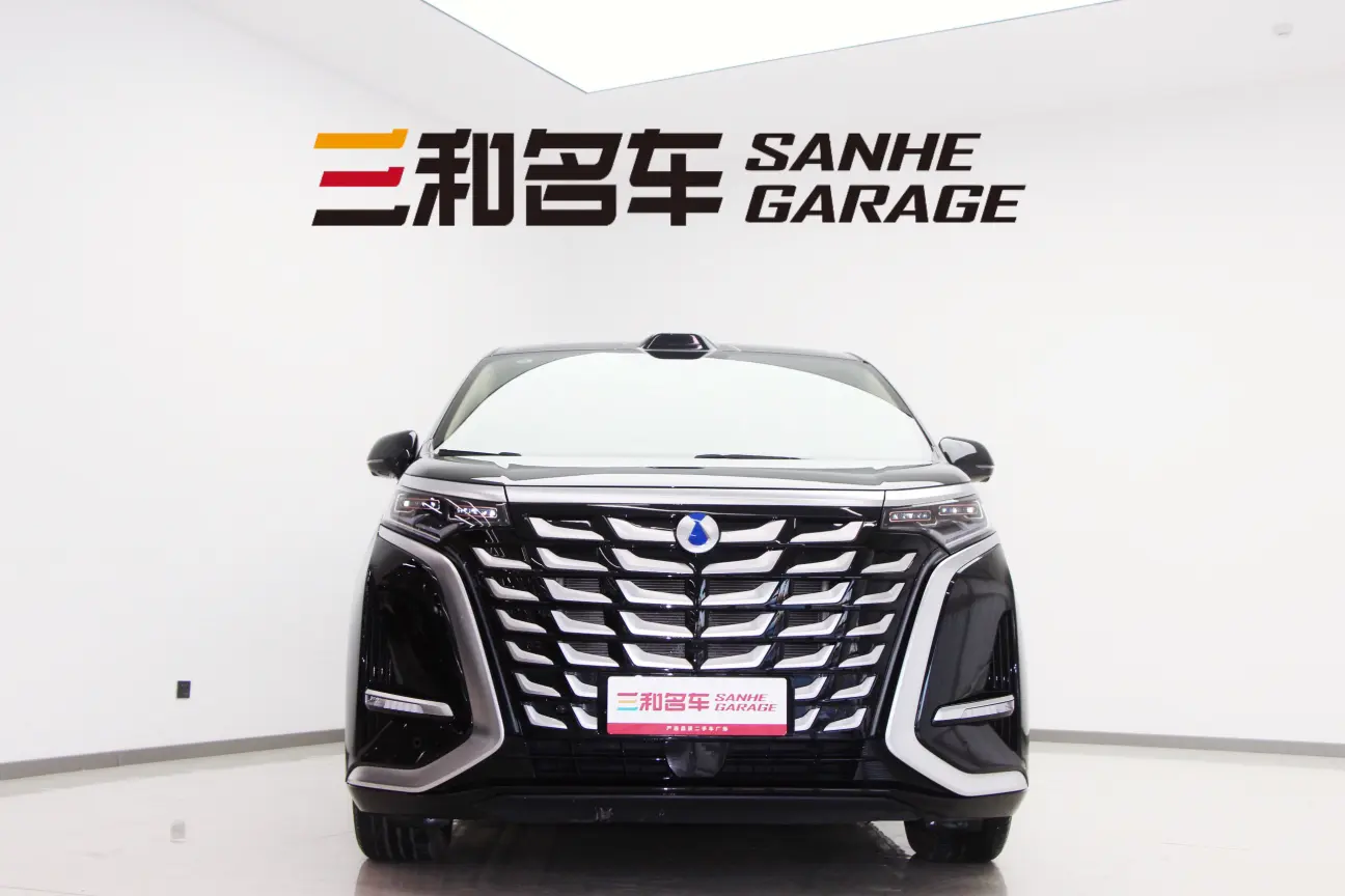 Denza D9 DM  из Китая