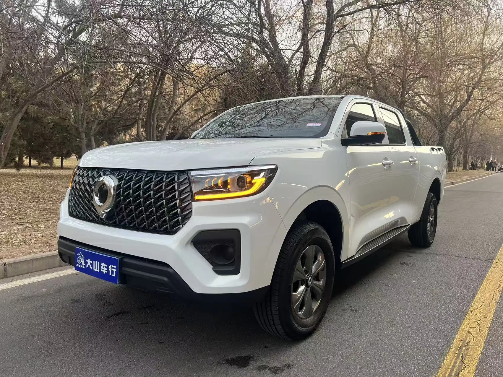 Great Wall Gun  из Китая