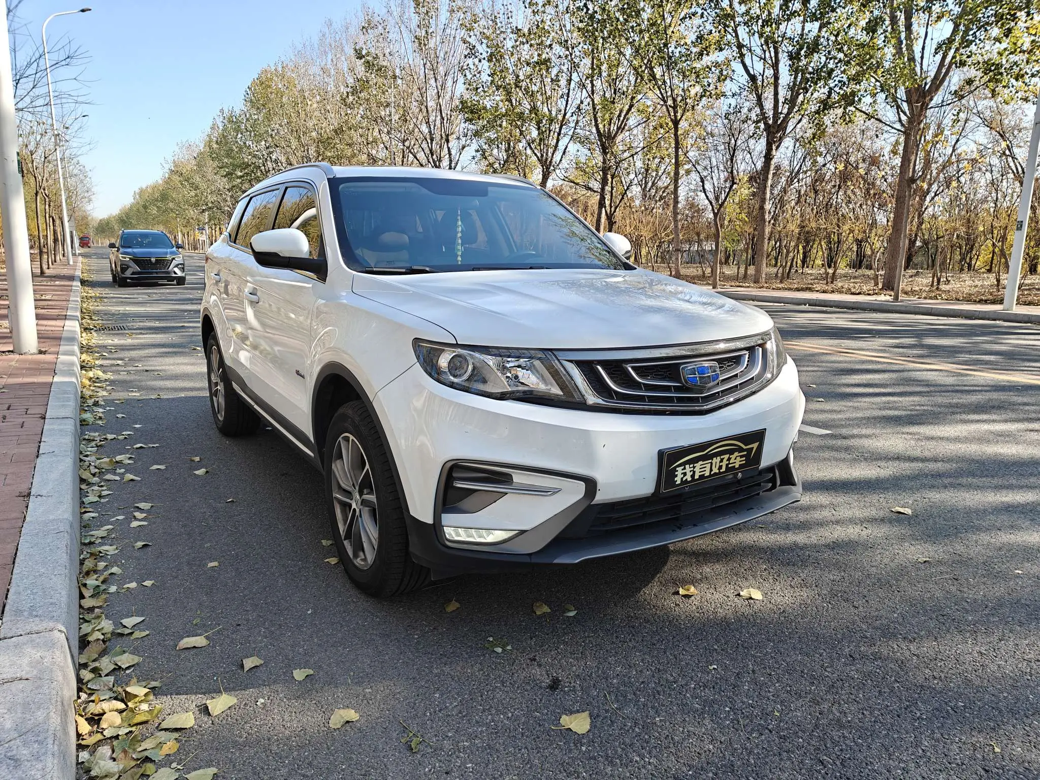 Geely Atlas (Boyue)  из Китая
