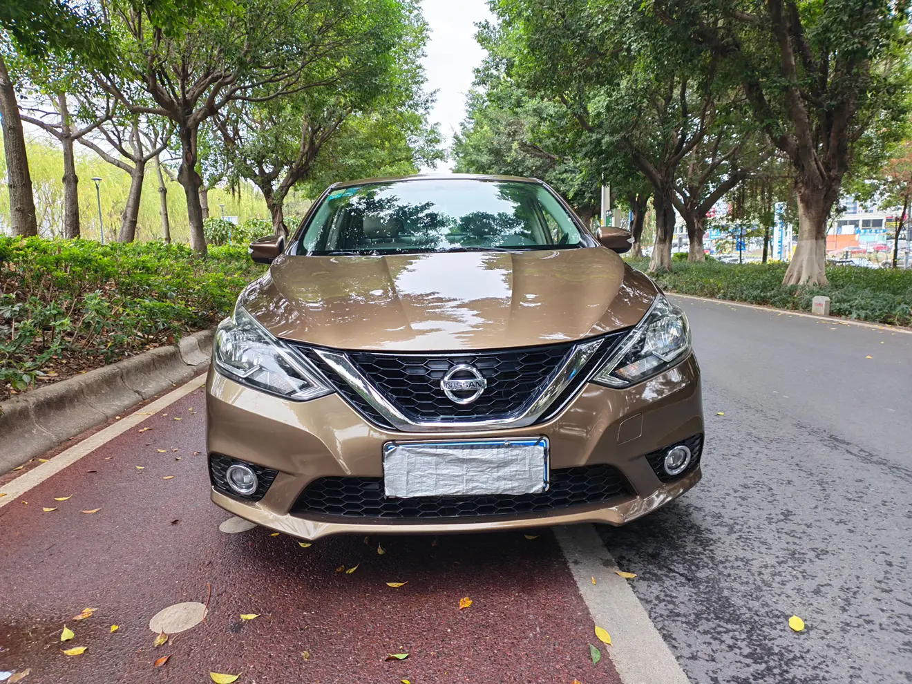 Nissan Sylphy  из Китая