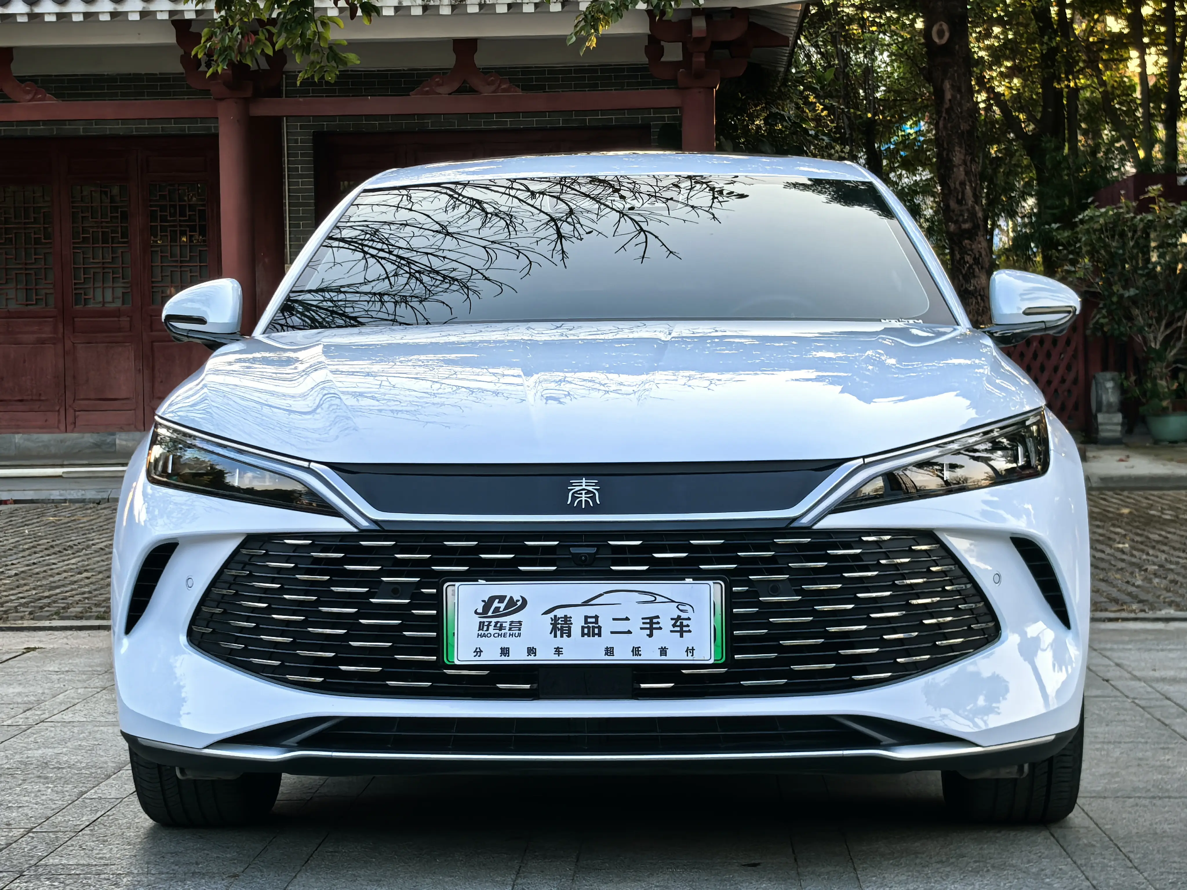 BYD Qin L DM