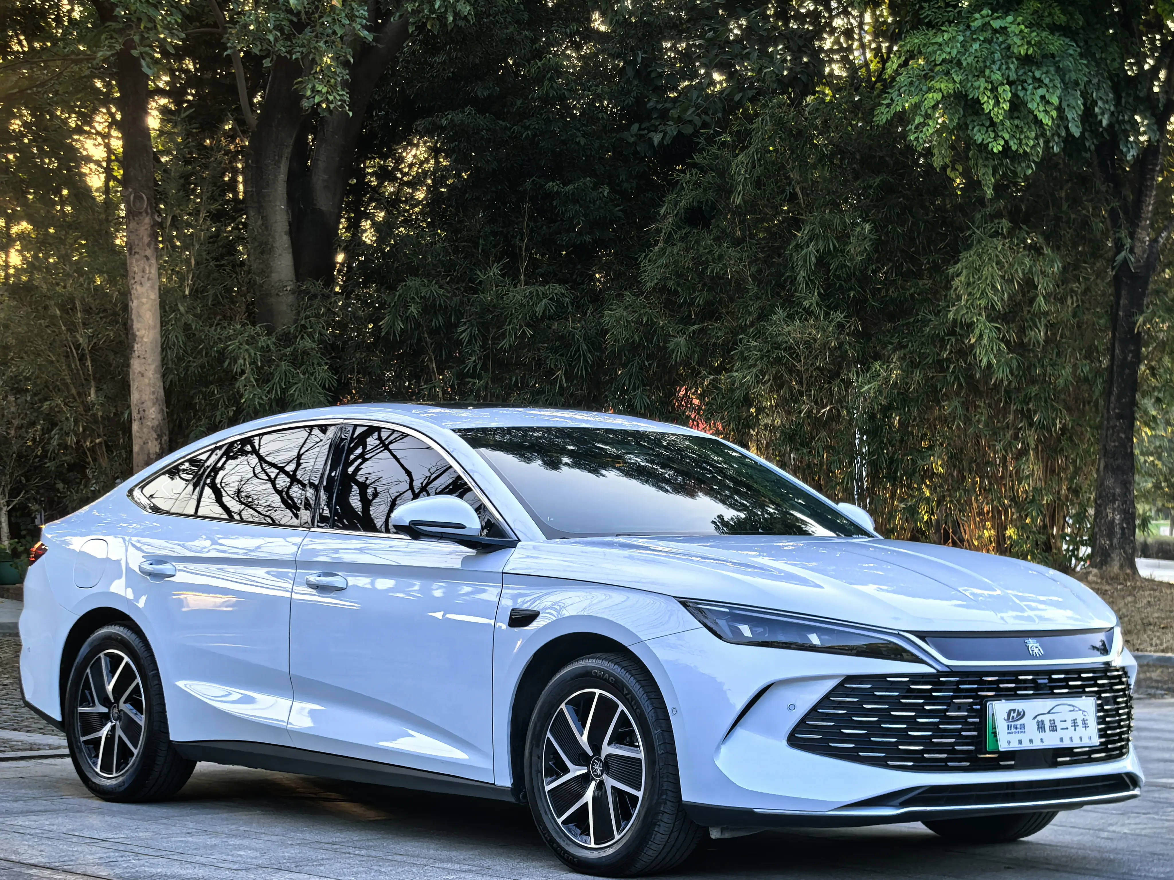BYD Qin L DM